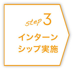 step3 インターンシップ実施