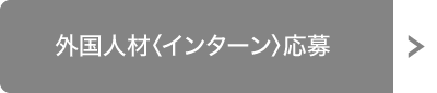 外国人財〈インターン〉募集