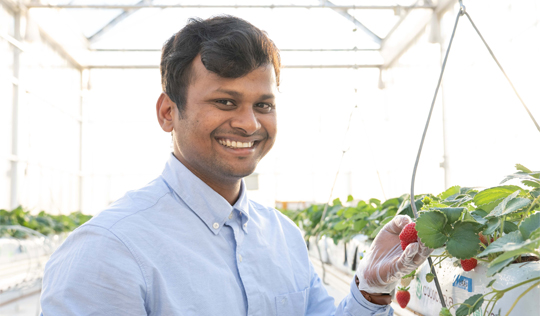 インターン生の声