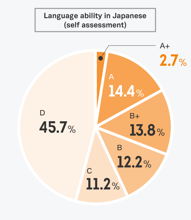 Interns’ linguistic abilities